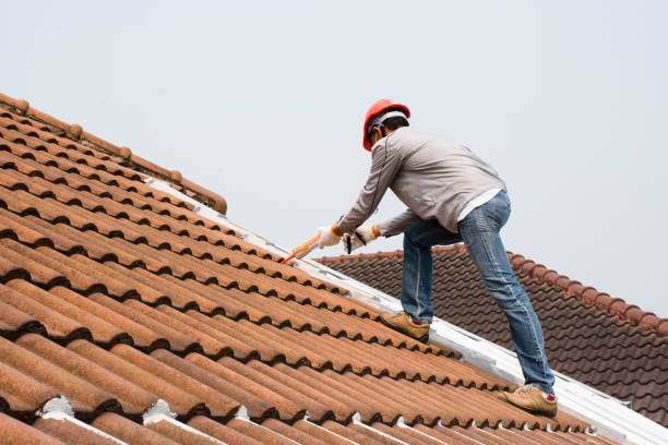 Best Roof Coating and Sealing  in Sheldon, TX